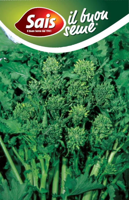 brokolica quarantina.jpg